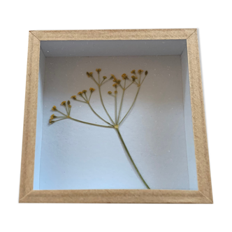 Miniature frame dried flower