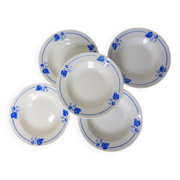 5 deep plates Roselys model vine 211251