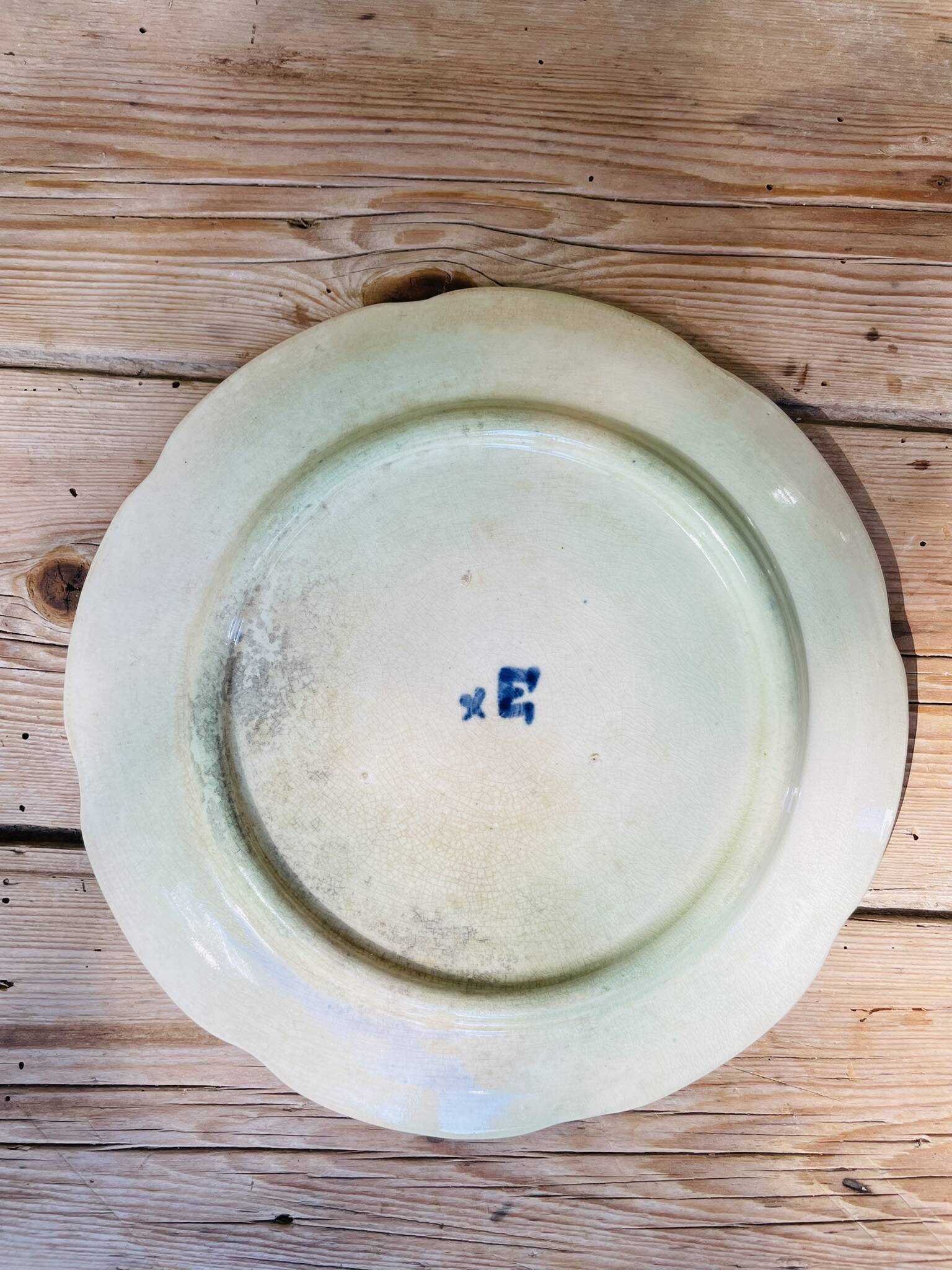 Wasmuel Majolica water lily slip plate