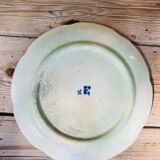 Wasmuel Majolica water lily slip plate