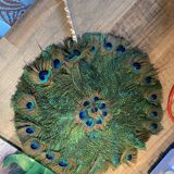 Peacock feathers