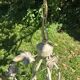 Country-style patinated metal chandelier – 5 arms – decorative foliage
