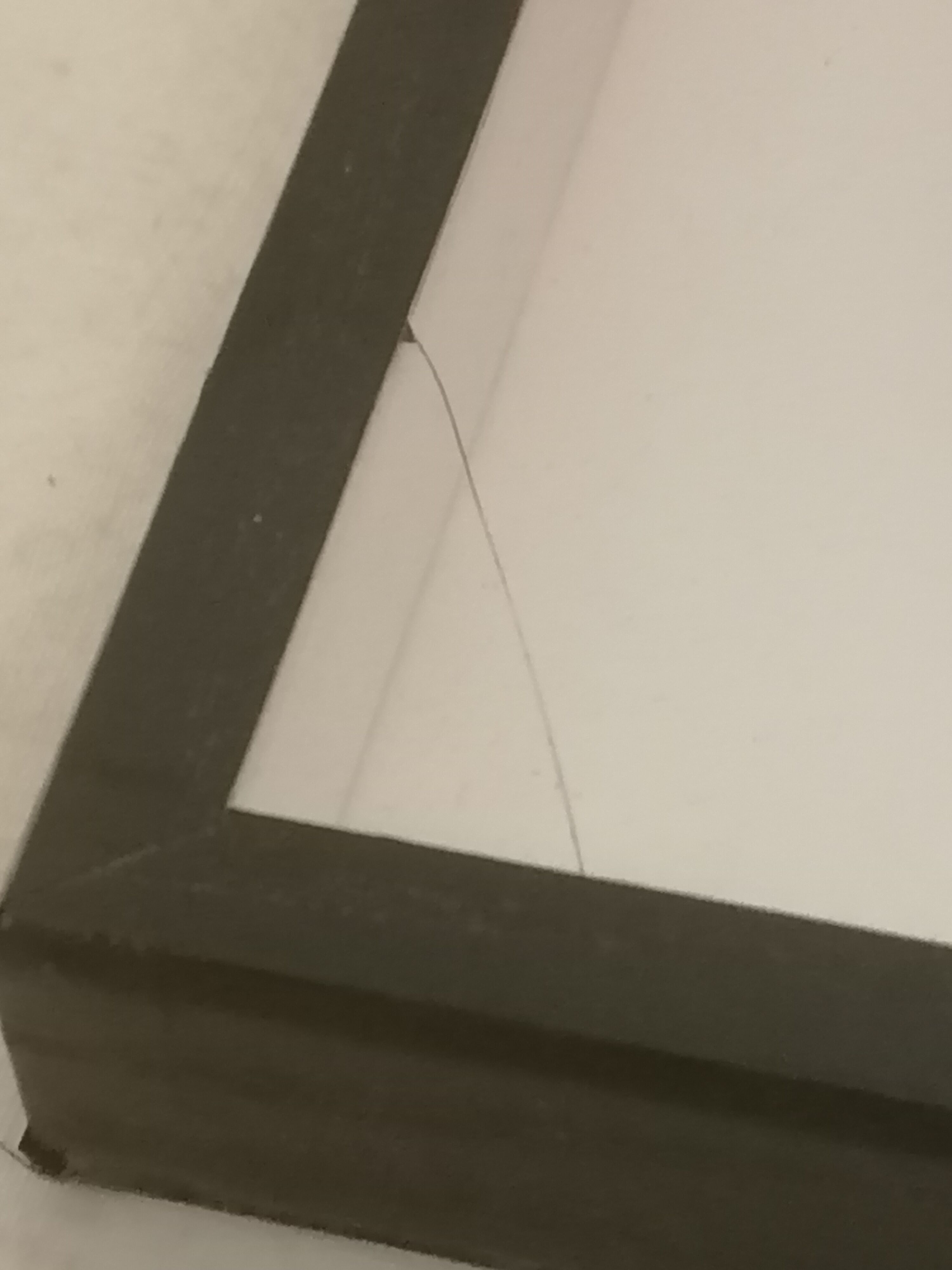 3 stuffed butterflies