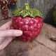 Vintage French set for jam, in the form of a strawberry