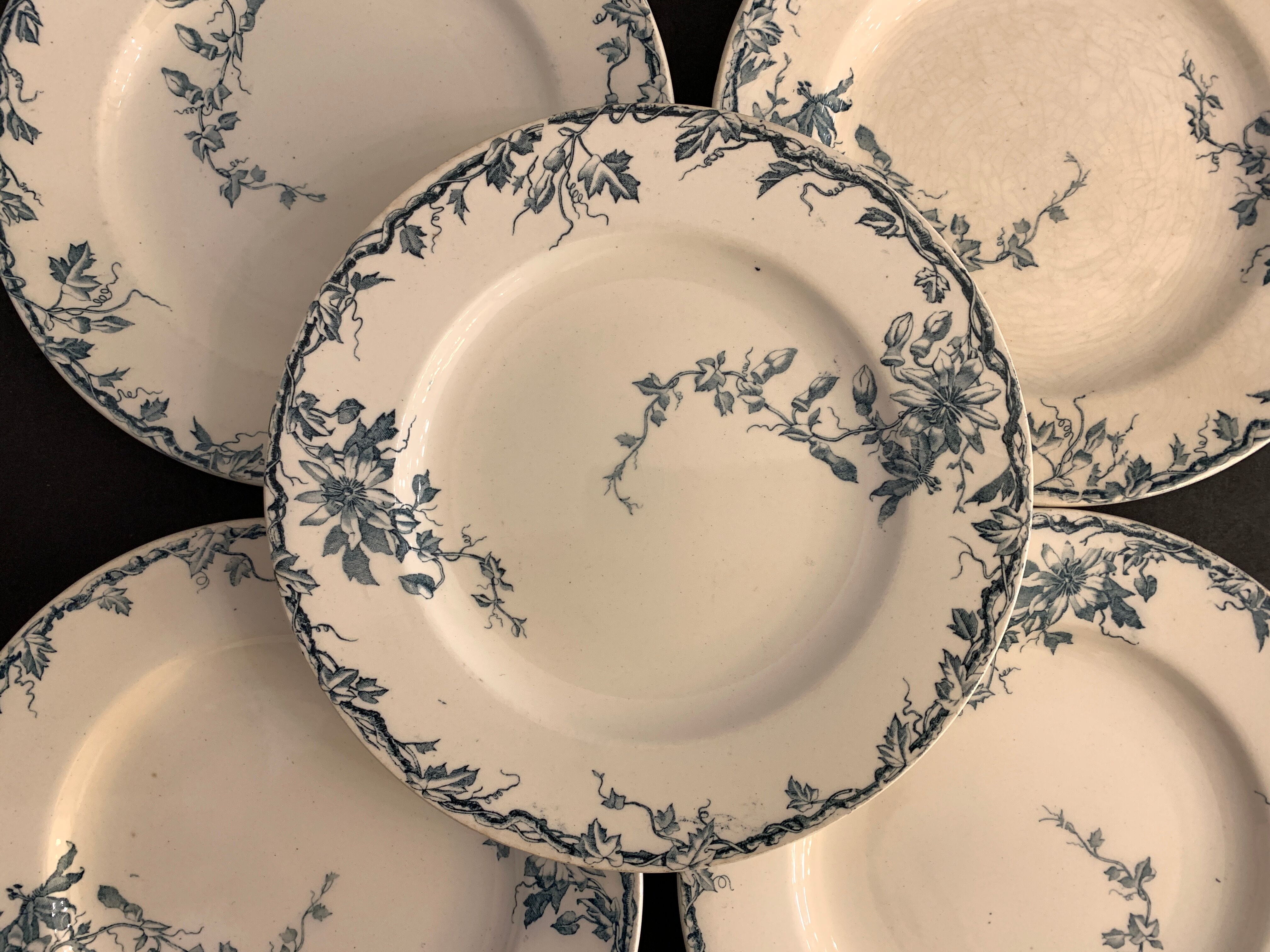 Set of 10 dessert plates KG Lunéville Passiflore model