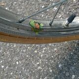 Bike Peugeot year 60