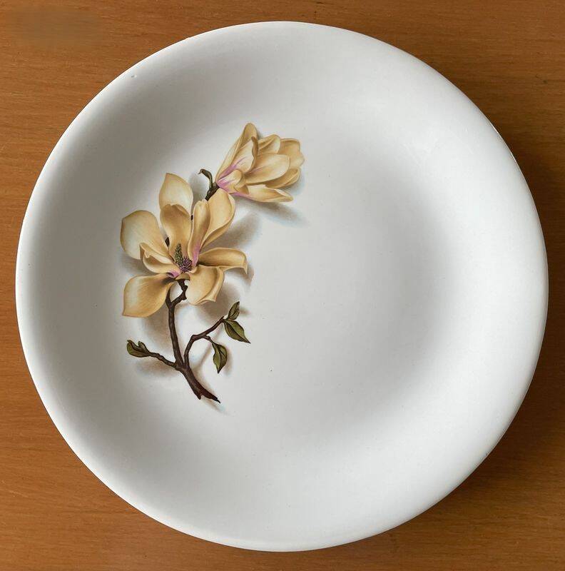 6 antique flat plates in Saint-Amand earthenware (Nord)