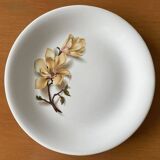 6 antique flat plates in Saint-Amand earthenware (Nord)