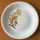 6 antique flat plates in Saint-Amand earthenware (Nord)