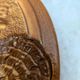 Set of 8 vintage oyster plates in majolica – Ateliers du Revernay