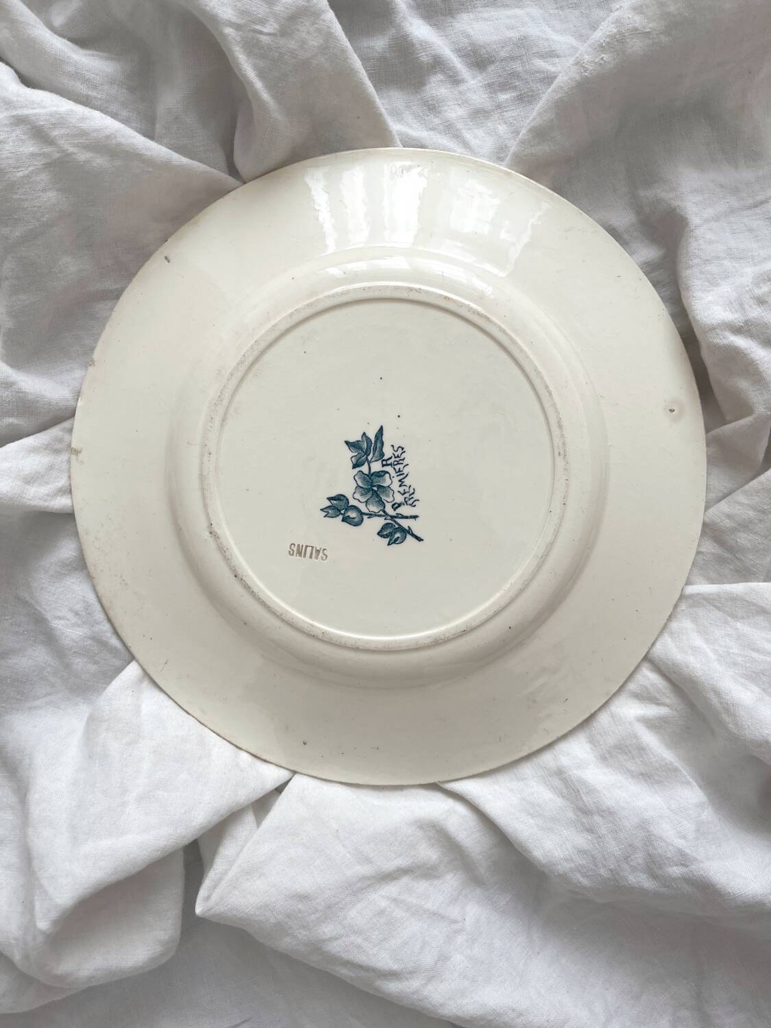 Antique ironstone plate "Tremières" Salins