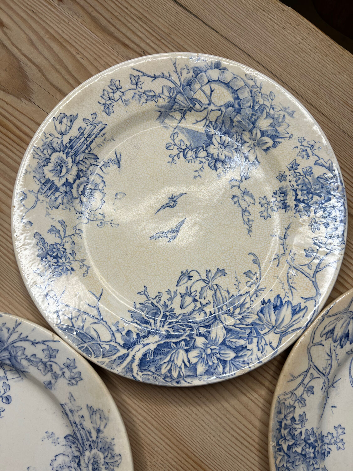 Set of 6 vintage dinner plates