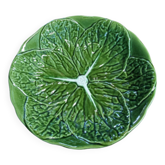 Cabbage dish