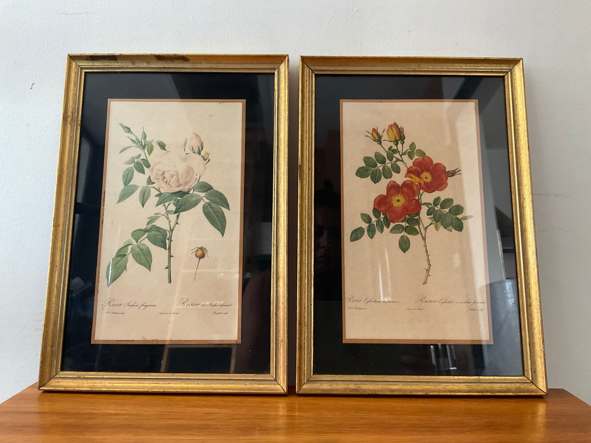 Pair of vintage botanical frames in gilded wood