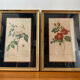 Pair of vintage botanical frames in gilded wood