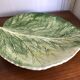Dish in dabbling