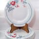 6 flat plates on St Amand earthenware