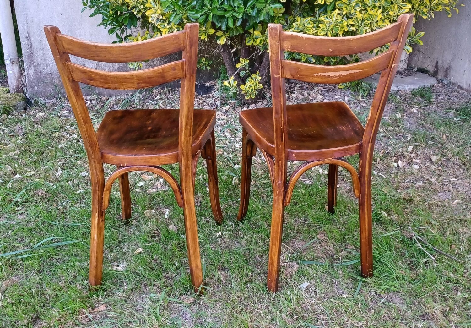 Paire de chaises bistrot Baumann n°56