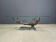 Vintage bonsai coffee table by Willy Daro, 1970s
