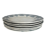 6 Spring iron earthenware plates