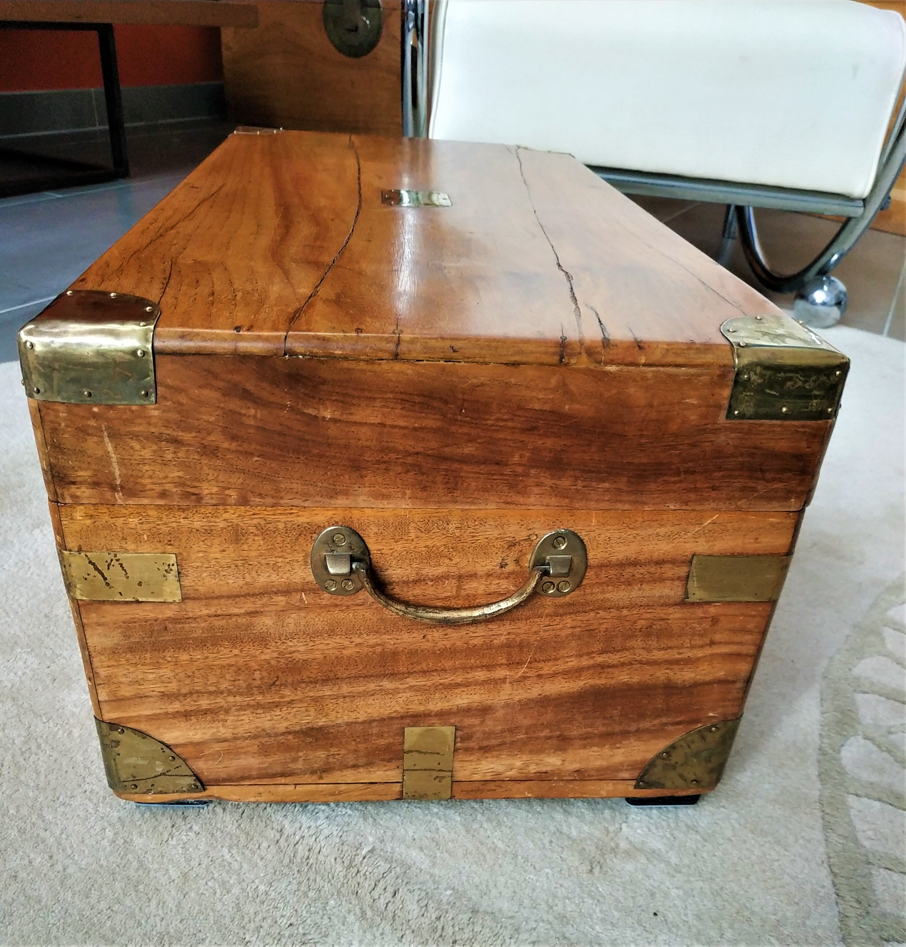 Small naval officer trunk in camphrier