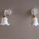 2 wall sconces in tulip glass painted white
