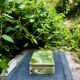 Onyx catchall from Pakistan, vintage 1960s box.