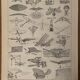Lithographie gravure sur l'aviation de 1897