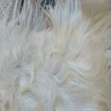 Natural black and white goat skin 92x47cm