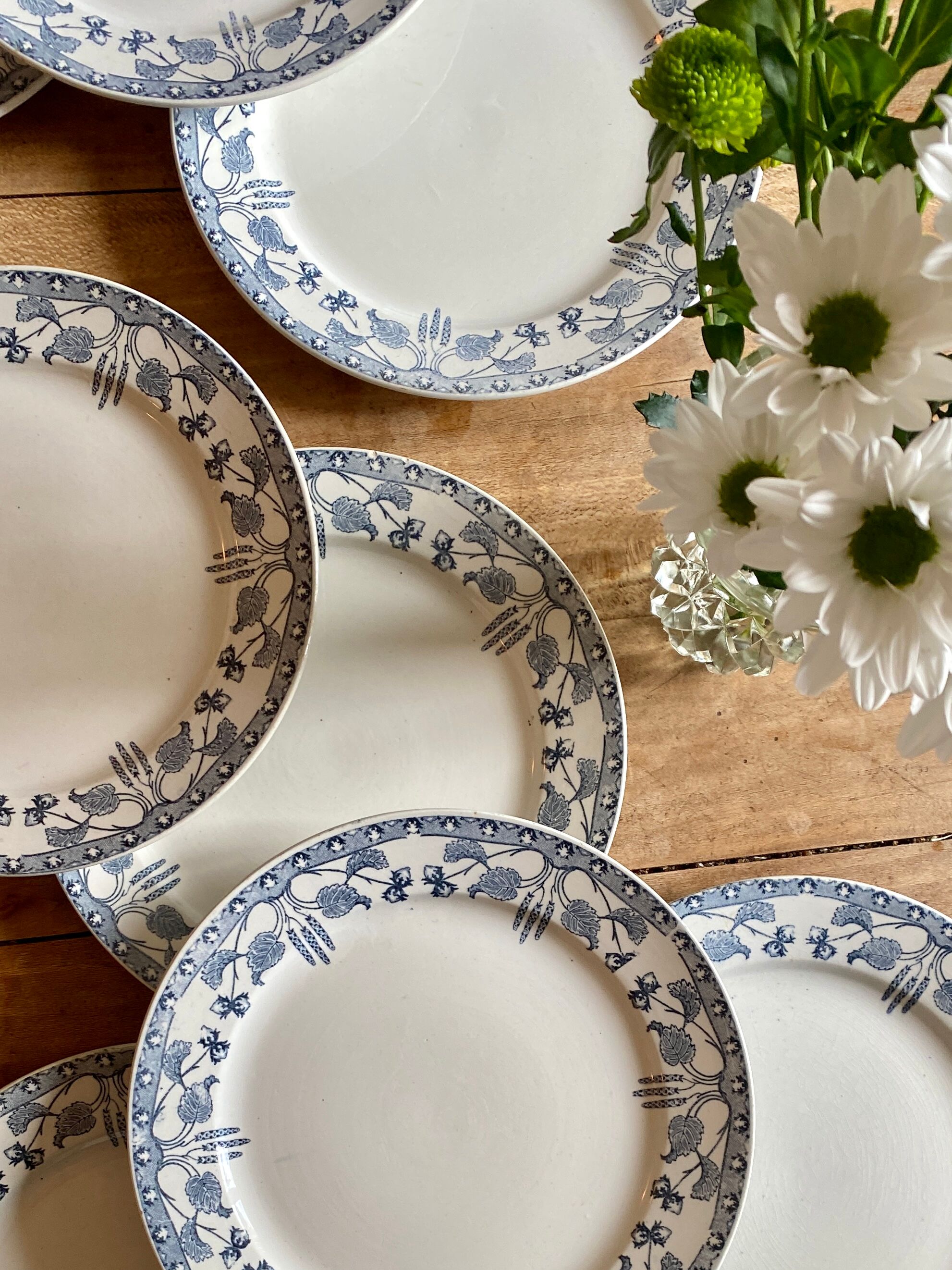 Set of 10 old flat plates in iron earth, model Noisette de Sarreguemines