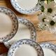 Set of 10 old flat plates in iron earth, model Noisette de Sarreguemines