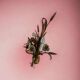 Vintage wheat 'golden' wall light with flowers: french style