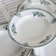 4 antique deep plates, ironstone, Saint Amand, 19th century.