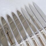 Set of 12 table knives in silver metal