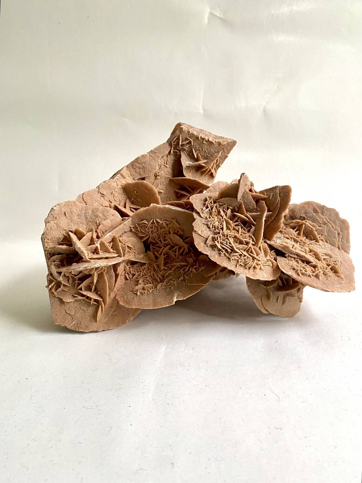 Sand rose 23 cm