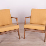 Armchairs 300-139 by Swarzędzka Factory, 1960