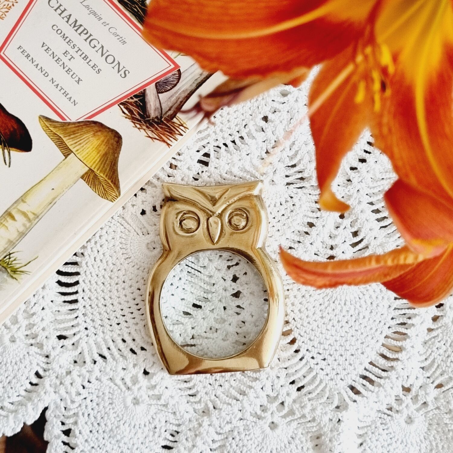 Brass owl magnifying glass