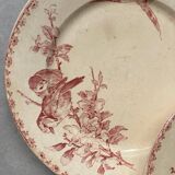 Set of 5 ironstone plates “pink birds”