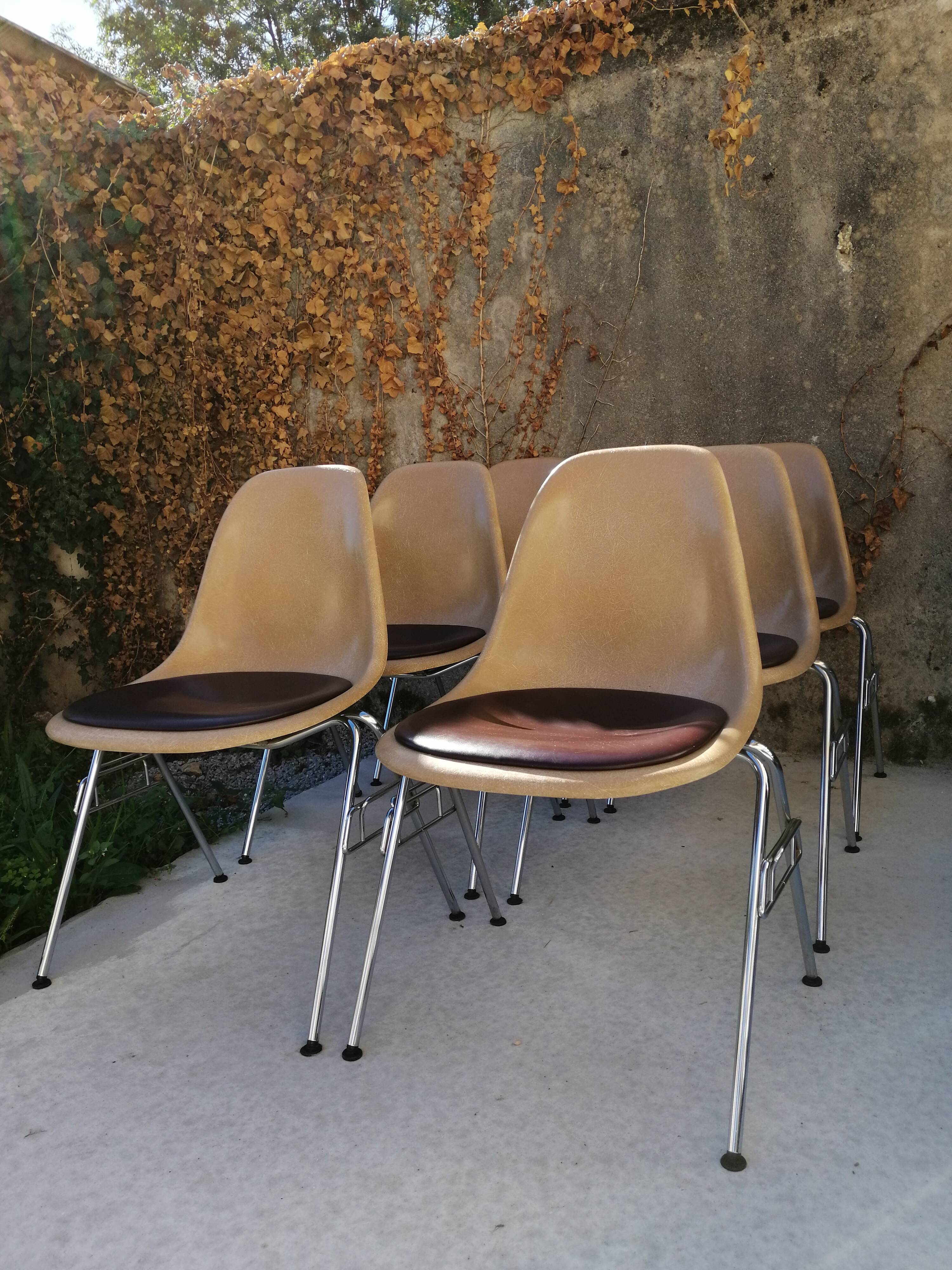 Lot de 6 chaises DSS Charles & Ray Eames pour Herman Miller Edition Vitra