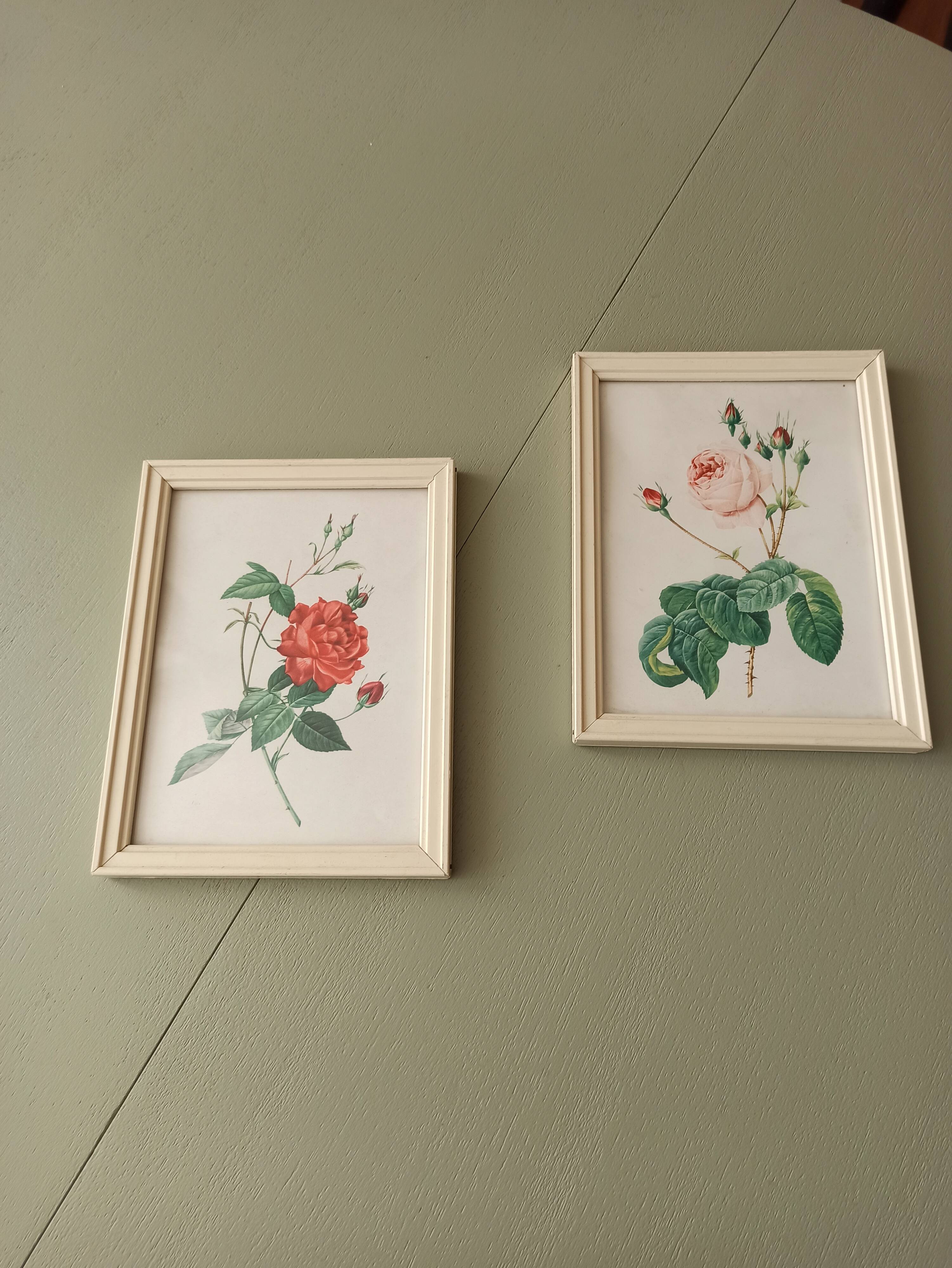 Two litho rose Redouté