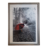 Photo my umbrella