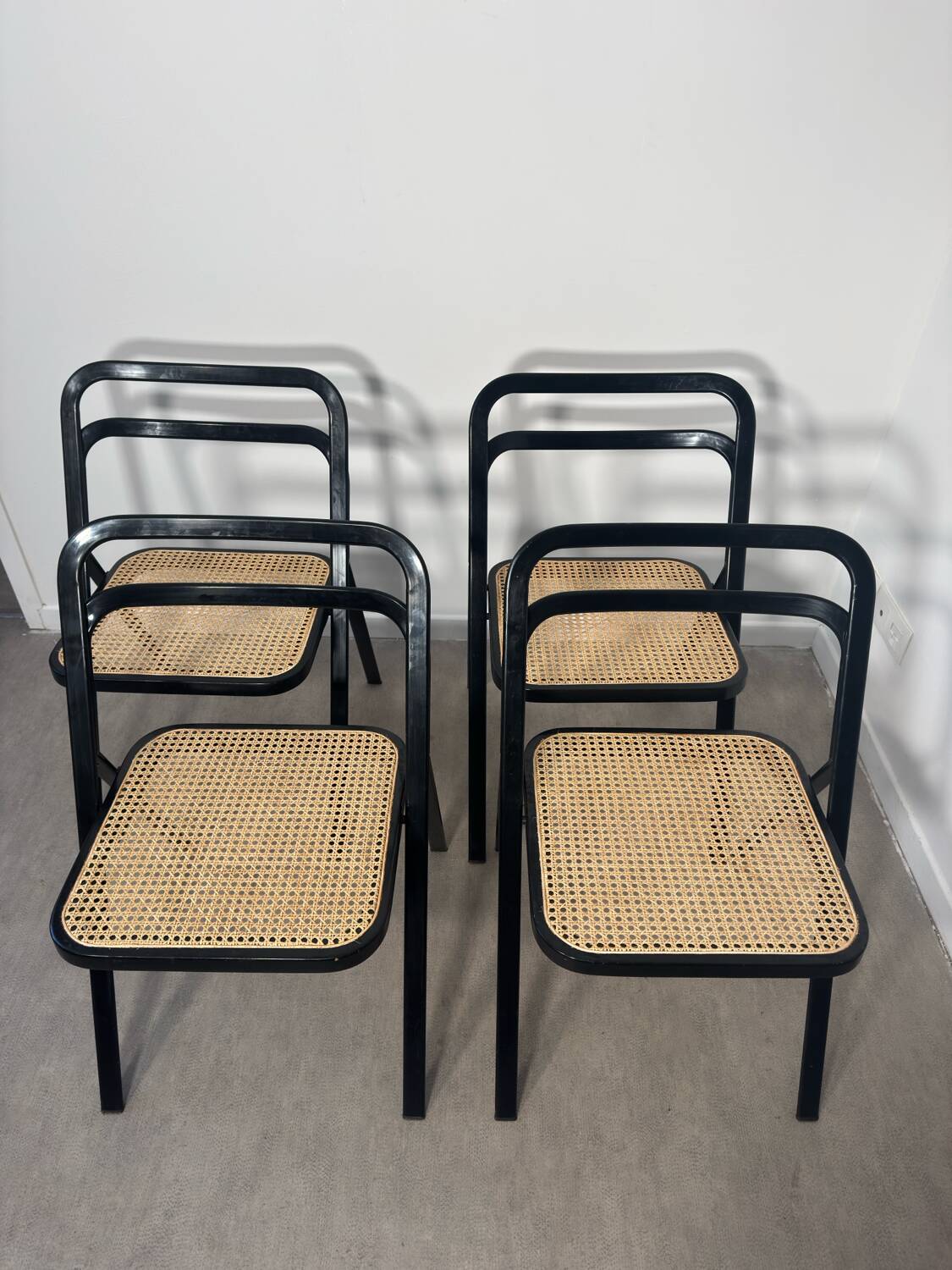 Chaises giorgio cattelan  pour cidue