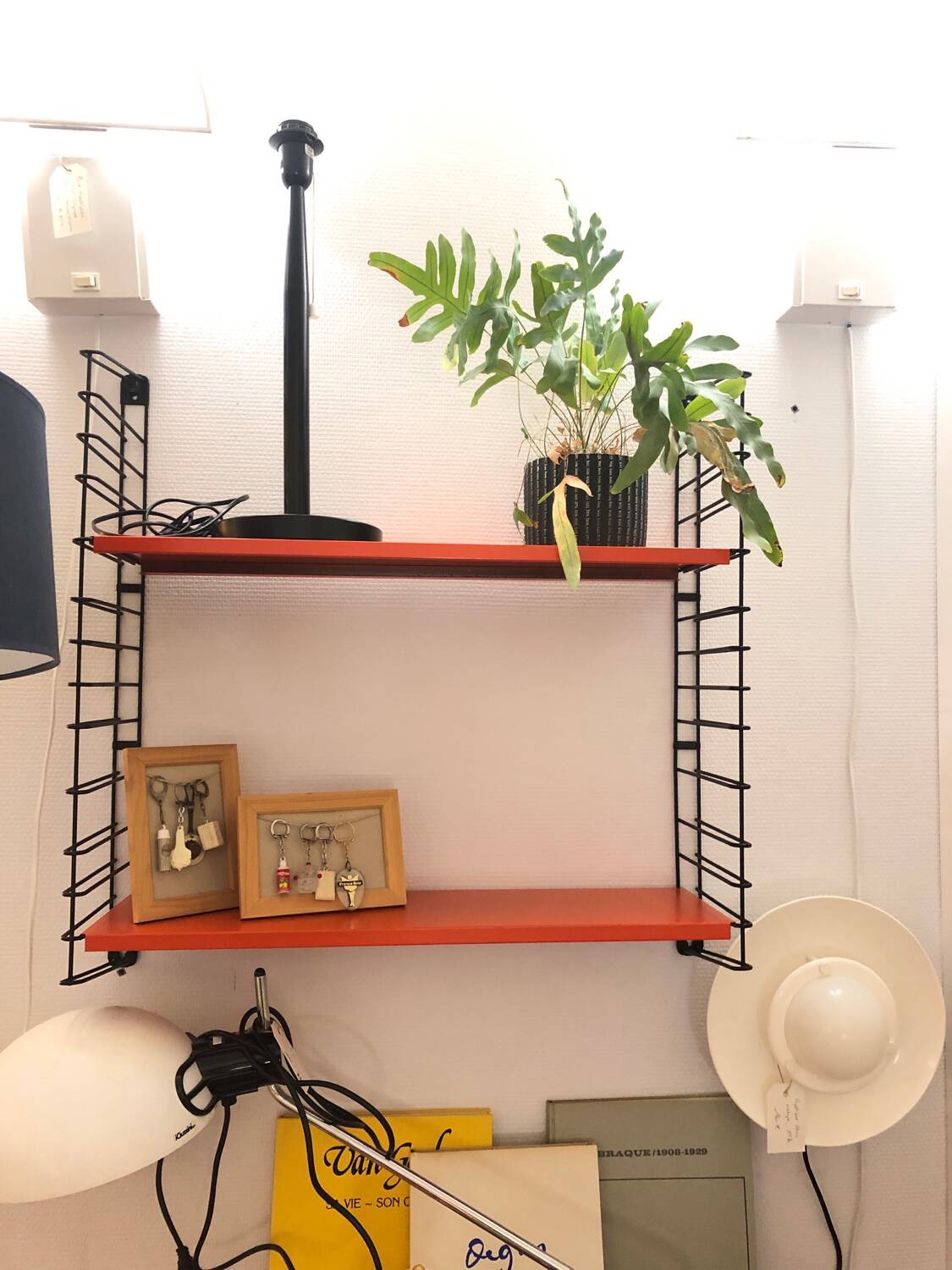 Tomado red shelf, 1970