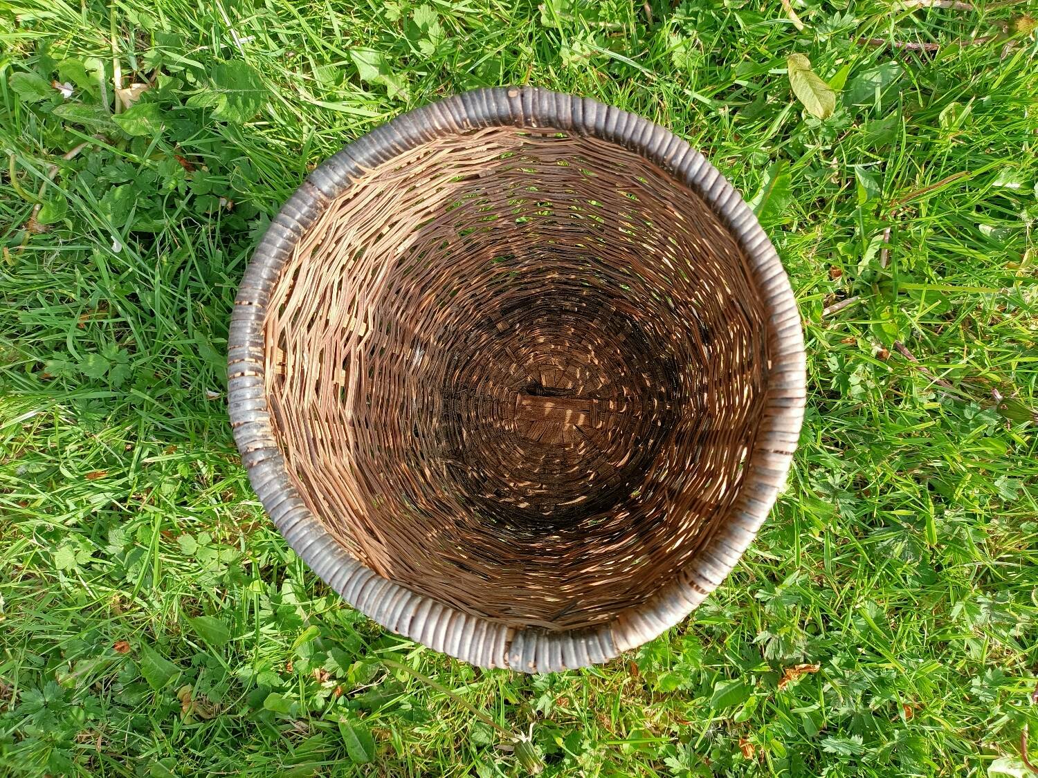 Lot cache-pots osier