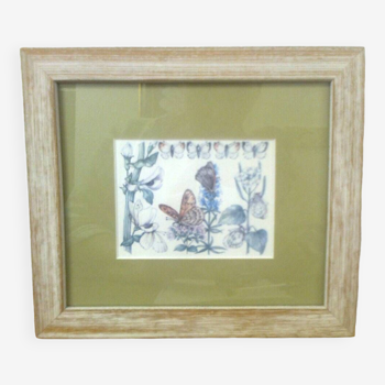 Shabby Rectangular Frame Wood Ceruse Beige, Image: Butterflies + Sweet Peas