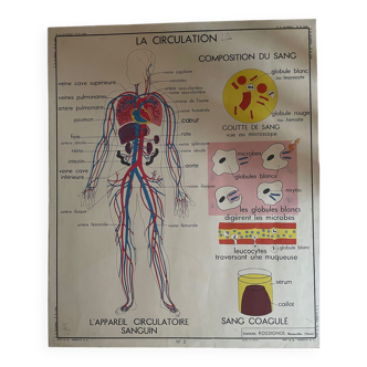 Carte Rossignol