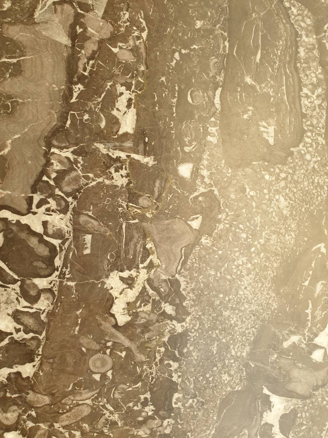 Table de chevet noyer