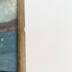Huile vers 1900, cadre bois et vitre