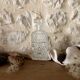 Large ornate glass carafe