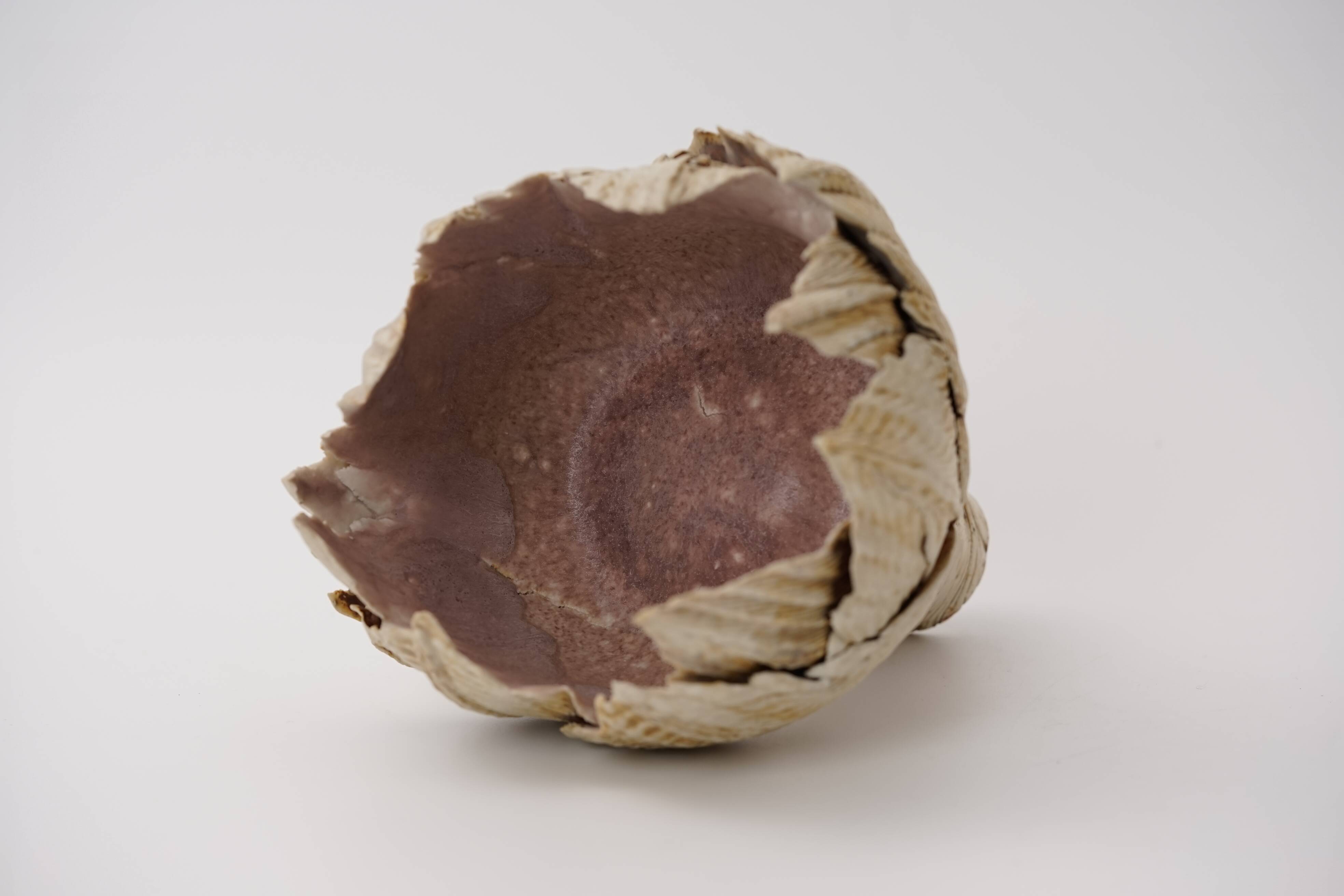 Large porcelain bud vase by Johannes Gebhardt